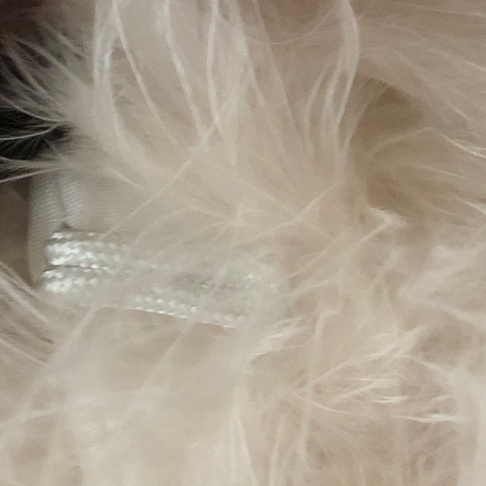 Lamarque Feather jacket - Picture 13 of 15